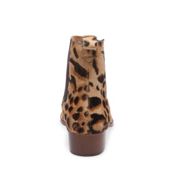 Pánské Boty Steve Madden Dex-p Leopard Leopard | SM-196GN