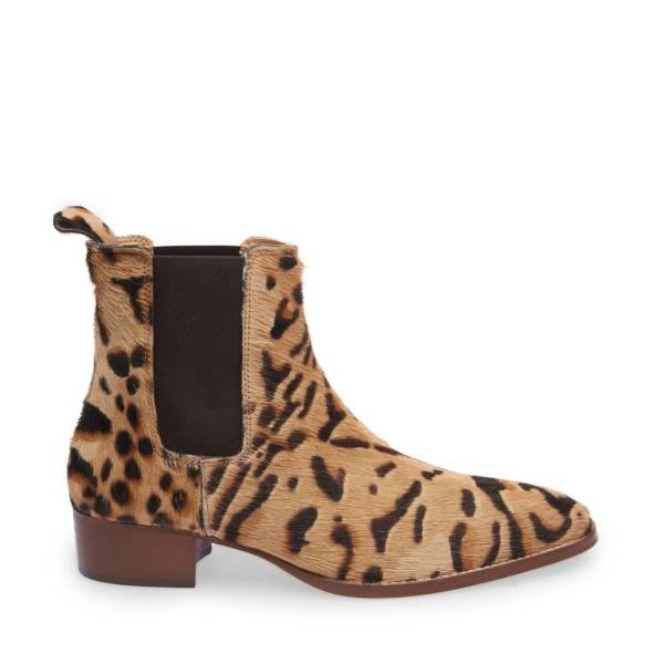 Pánské Boty Steve Madden Dex-p Leopard Leopard | SM-196GN