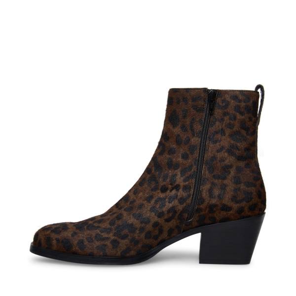 Pánské Boty Steve Madden Richie Leopard Leopard | SM-396IB