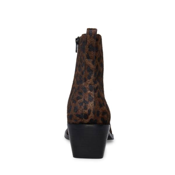 Pánské Boty Steve Madden Richie Leopard Leopard | SM-396IB