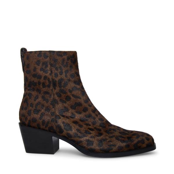 Pánské Boty Steve Madden Richie Leopard Leopard | SM-396IB