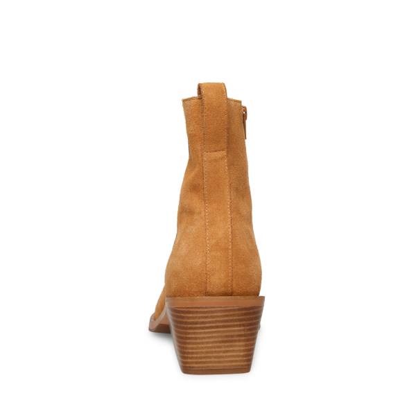 Pánské Boty Steve Madden Richie Tan Semišové Hnědé | SM-459FR