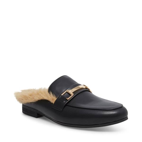 Pánské Společenské Boty Steve Madden Calvino Læder Černé | SM-235XZ