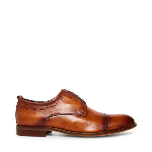 Pánské Společenské Boty Steve Madden Doak Cognac Læder Hnědé | SM-675UZ