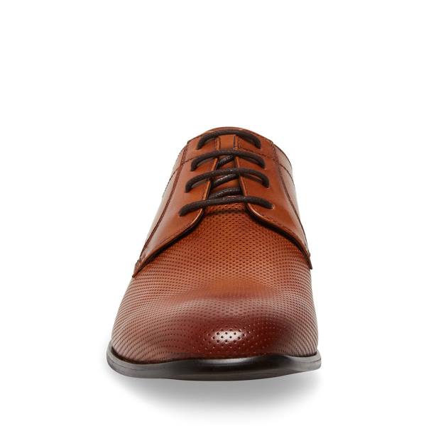 Pánské Společenské Boty Steve Madden Perris Cognac Læder Hnědé | SM-925EB