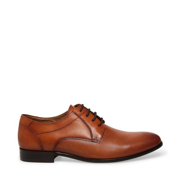 Pánské Společenské Boty Steve Madden Perris Cognac Læder Hnědé | SM-925EB