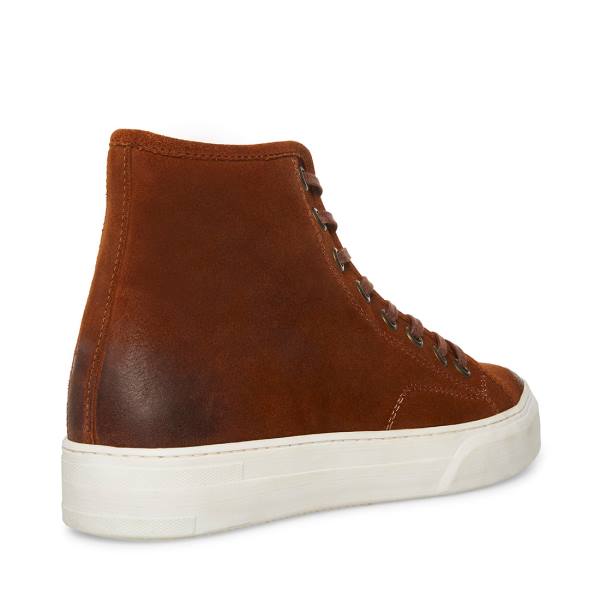 Pánské Tenisky Steve Madden Forte Cognac Semišové Hnědé | SM-138GL