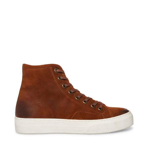 Pánské Tenisky Steve Madden Forte Cognac Semišové Hnědé | SM-138GL