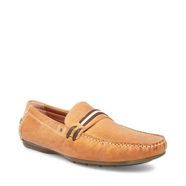 Pánské Tenisky Steve Madden Grab Tan Læder Hnědé | SM-092EV