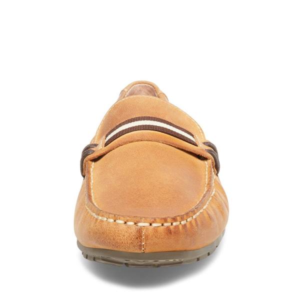 Pánské Tenisky Steve Madden Grab Tan Læder Hnědé | SM-092EV