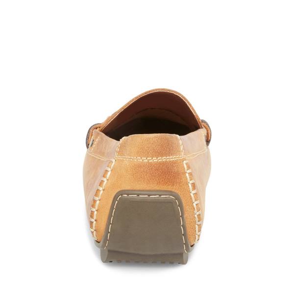 Pánské Tenisky Steve Madden Grab Tan Læder Hnědé | SM-092EV