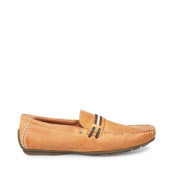 Pánské Tenisky Steve Madden Grab Tan Læder Hnědé | SM-092EV