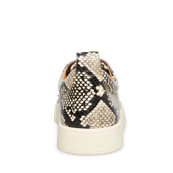 Pánské Tenisky Steve Madden Portall Natural Snake Béžový Hadí Kůže | SM-471HX