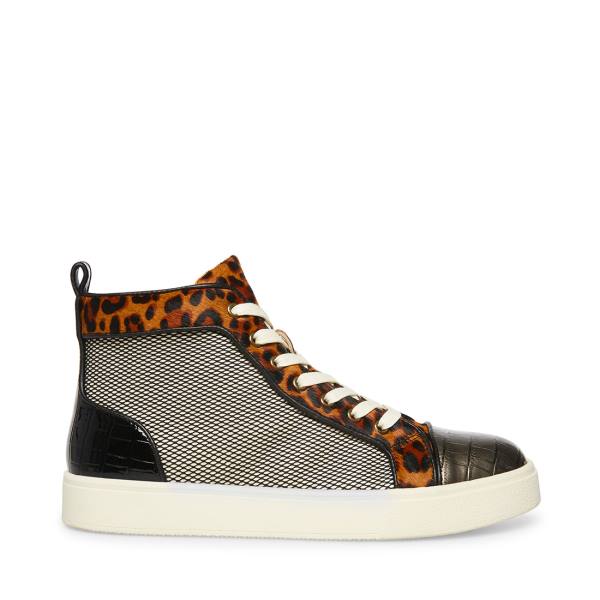 Pánské Tenisky Steve Madden Promoter-s Leopard Černé Leopard | SM-603MR