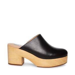 Dámské Lodičky Steve Madden Bayridge Læder Heel Černé | SM-642WP