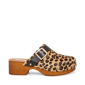 Dámské Lodičky Steve Madden Dana-p Leopard Heel Leopard | SM-783ZU