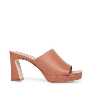 Dámské Lodičky Steve Madden Dedicate Blush Læder Heel Růžové | SM-586IX