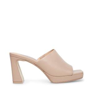 Dámské Lodičky Steve Madden Dedicate Taupe Læder Heel Šedé Hnědé | SM-685VP