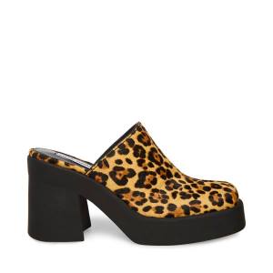 Dámské Lodičky Steve Madden Kam Leopard Heel Leopard | SM-831EW