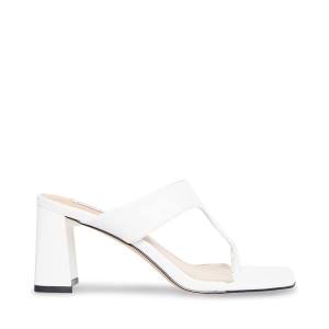 Dámské Lodičky Steve Madden Lamorna Heel Bílé | SM-109RF