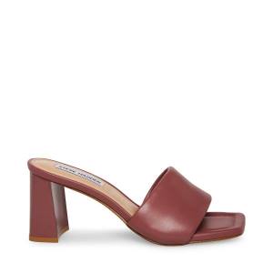 Dámské Lodičky Steve Madden Lexie Mauve Heel Fialové | SM-319EL