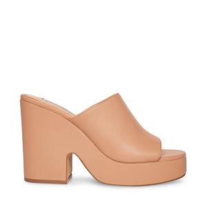 Dámské Lodičky Steve Madden Sally Tan Heel Tmavě Hnědé | SM-763DU