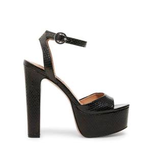 Dámské Lodičky Steve Madden Skyla Snake Heel Černé Hadí Kůže | SM-514XS