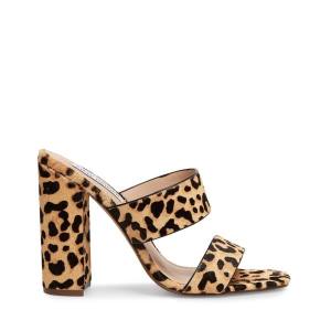 Dámské Lodičky Steve Madden Tegan-l Leopard Heel Leopard | SM-064JC