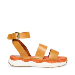 Dámské Sandály Steve Madden Springs Tan Paris Hnědé | SM-760VA