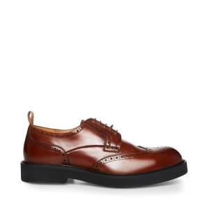 Pánské Společenské Boty Steve Madden Adrick Cognac Læder Hnědé | SM-251OM