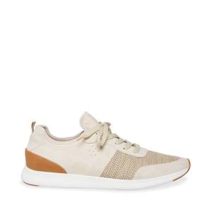 Pánské Tenisky Steve Madden P-stevy Sand Hnědé | SM-035DH